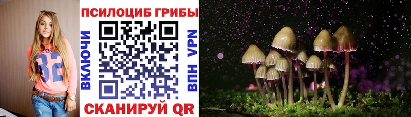 Галлюциногенные грибы Psilocybe  ОМГ ОМГ ссылка  Новоаннинский 